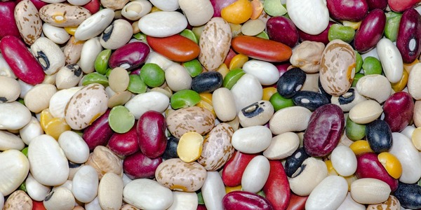 alimenti-secchi-oceanodivita