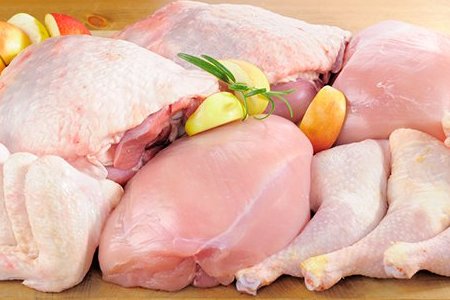 carni-bianche-oceanodivita