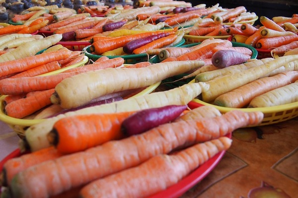 carote2-oceanodivita3