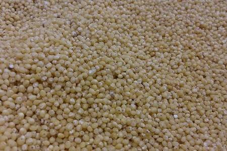 miglio-perlato-oceanodivita-com-item